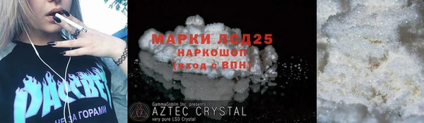 PSILOCYBIN Алзамай