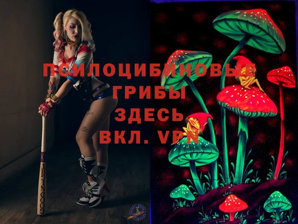 индика Абдулино