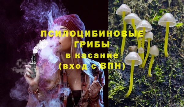 СК Абинск