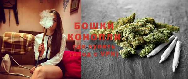 индика Абдулино