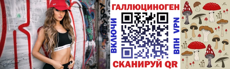 Псилоцибиновые грибы мицелий  наркота  Котово 